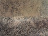 suede bronzing  fabric