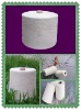 supply 40s raw white polyester virgin spun yarn