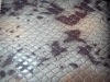 synthetic snake leather