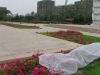 textile nonwoven fabric