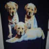 three little dogs printed fleece fabric