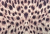 tiger printed oxford fabric with pvc coated for luggage