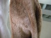 tip-dyed faux fur texitile