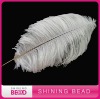 top level ostrich feather