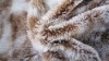 toy fabric/plush toy fabric/polyester toy fabric