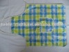 transparent apron
