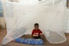 treated mosquito nets exported Africa moustiquaire