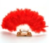 trendy new design and fashion feather fans