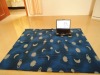 two sides printed fleece throw