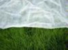 uv-stable pp non woven for agriculture and gardening