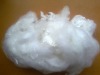 vergin polyester staple fiber