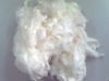 viscose staple fiber