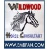 vivid horse head embroidery digitizer