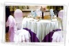 wedding Chair Cover