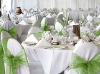 wedding decoration and chair sash (X-4029)