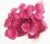 wedding decoration petals