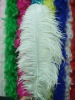 white Ostrich feathers, wedding feather, feather extension, decroation feathers