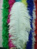 white Ostrich feathers, wedding feather, feather extension, decroation feathers