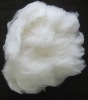 white cashmere fiber