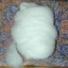 white dehaired cashmere fiber