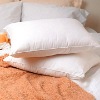 white duck feather pillow