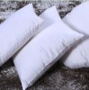white hotel pillow