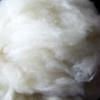 white pashmina fiber