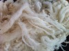 white scoured wool