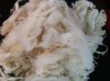 white scoured wool