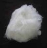 white sheep wool