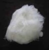 white sheep wool/cashmere pashmina fiber