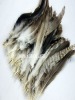 wholesale and retail feather hair extension