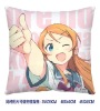 wholesale anime cushion/cartoon pillow mix order&drop shipping