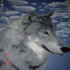 wolf printed fleece fabric