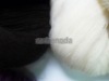 wool acrylic blended yarn