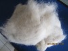 wool fiber cutting