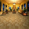 wool rich commercial carpet