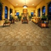 wool rich commercial carpet