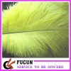 yellow Ostrich Feather for decoration