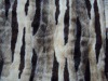 zebra print  faux fur blanket