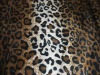 zebra terry fabric/super soft fabric/terry velour fabric